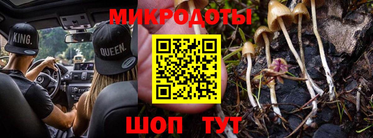 Псилоцибиновые грибы мухоморы  Вход с VPN  Вышний Волочёк 