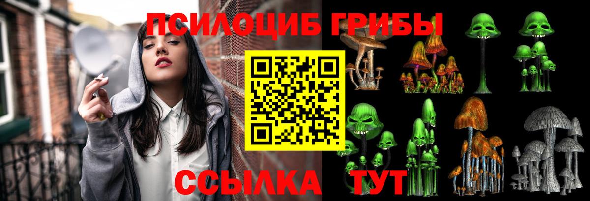 Псилоцибиновые грибы Psilocybine cubensis Вышний Волочёк